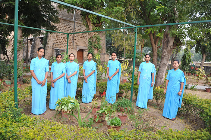 Novices